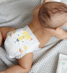 eco diapers half pack